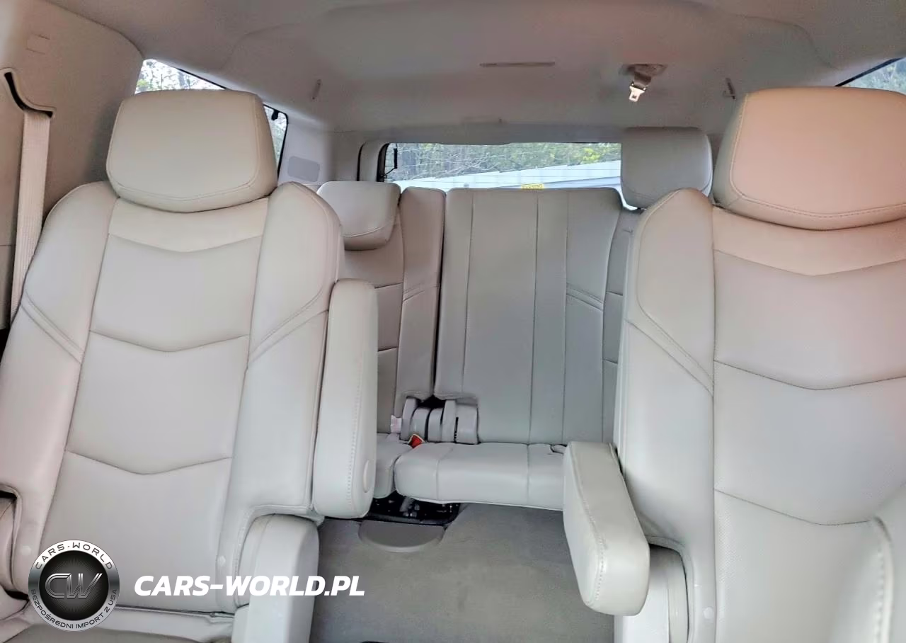 2019 Cadillac Escalade Esv Luxury VIN:1GYS4HKJ7KR201131 - 10
