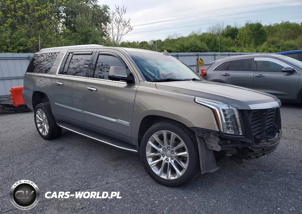 2019 Cadillac Escalade Esv Luxury VIN:1GYS4HKJ7KR201131 - 4