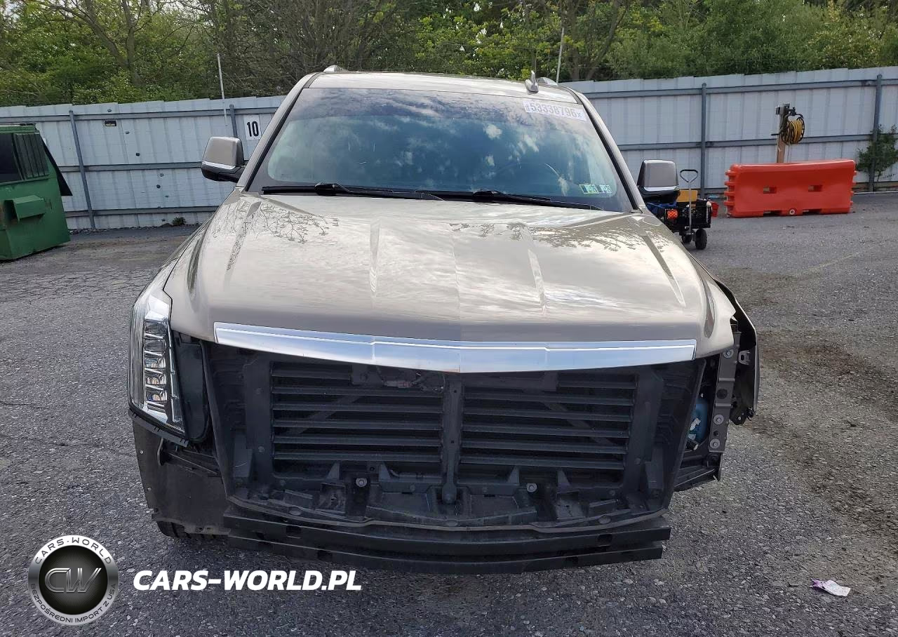 2019 Cadillac Escalade Esv Luxury VIN:1GYS4HKJ7KR201131 - 5