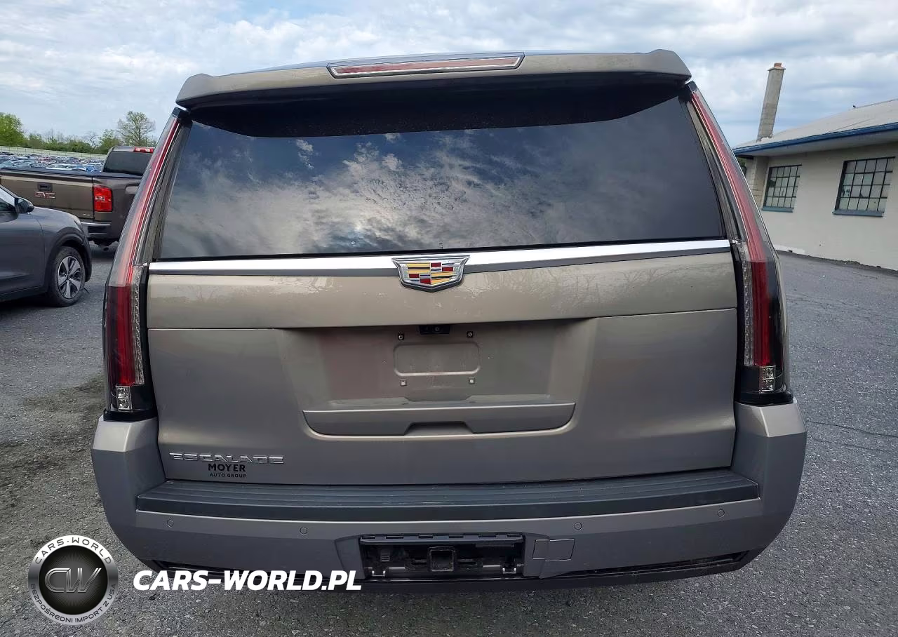 2019 Cadillac Escalade Esv Luxury VIN:1GYS4HKJ7KR201131 - 6