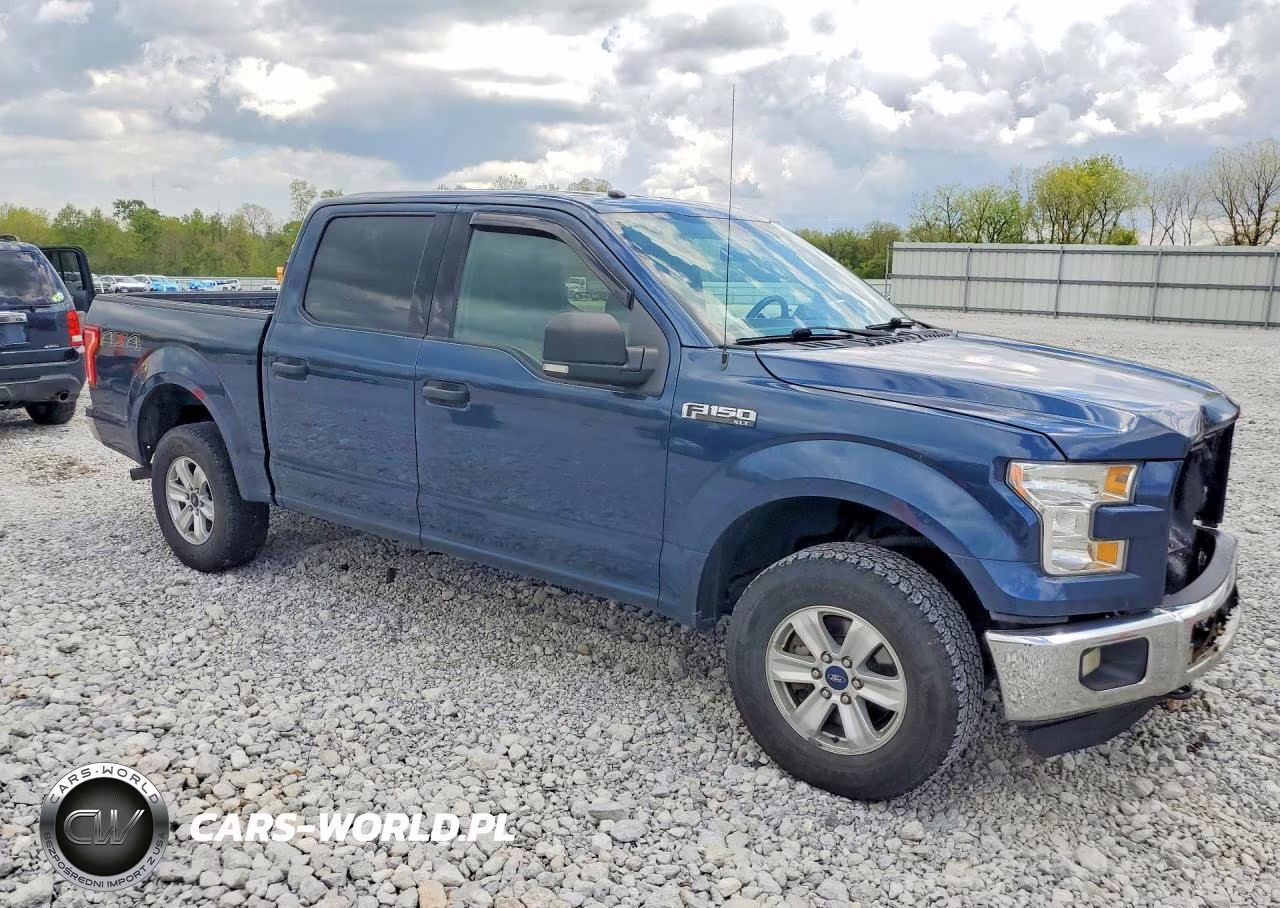 2016 Ford F150 Supercrew VIN:1FTEW1E80GFC56963 - 4