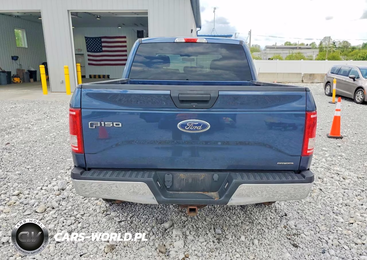 2016 Ford F150 Supercrew VIN:1FTEW1E80GFC56963 - 6