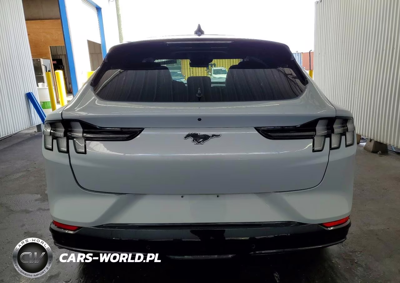 2023 Ford Mustang Mach-E Premium VIN:3FMTK3SU3PMA98114 - 6