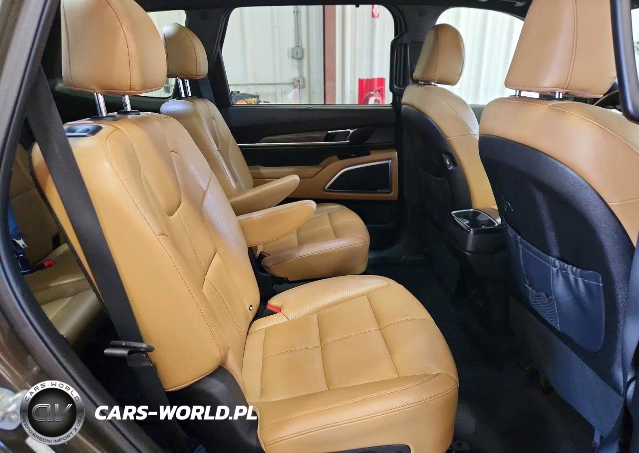 2020 Kia Telluride Sx VIN:5XYP54HC8LG025944 - 11