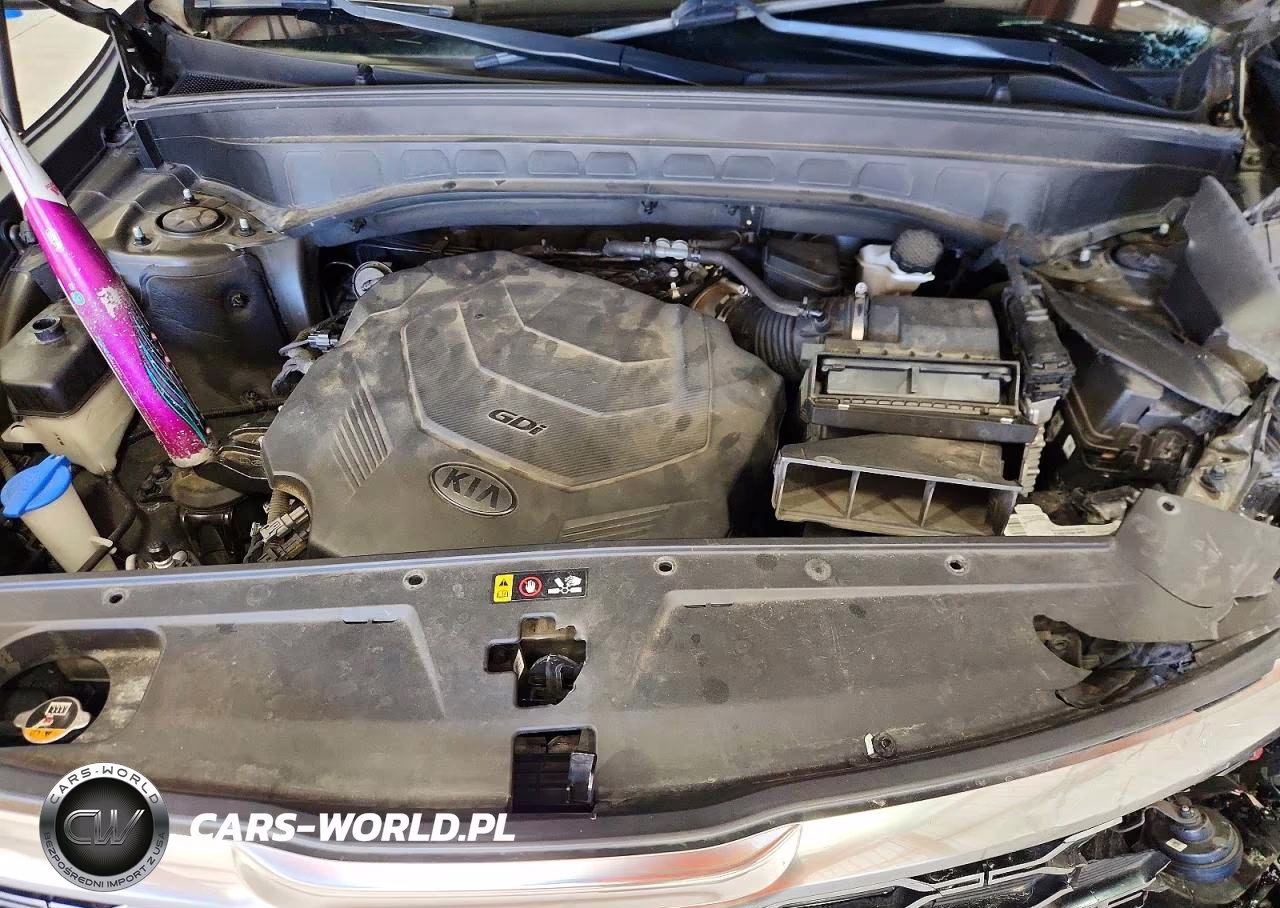 2020 Kia Telluride Sx VIN:5XYP54HC8LG025944 - 12
