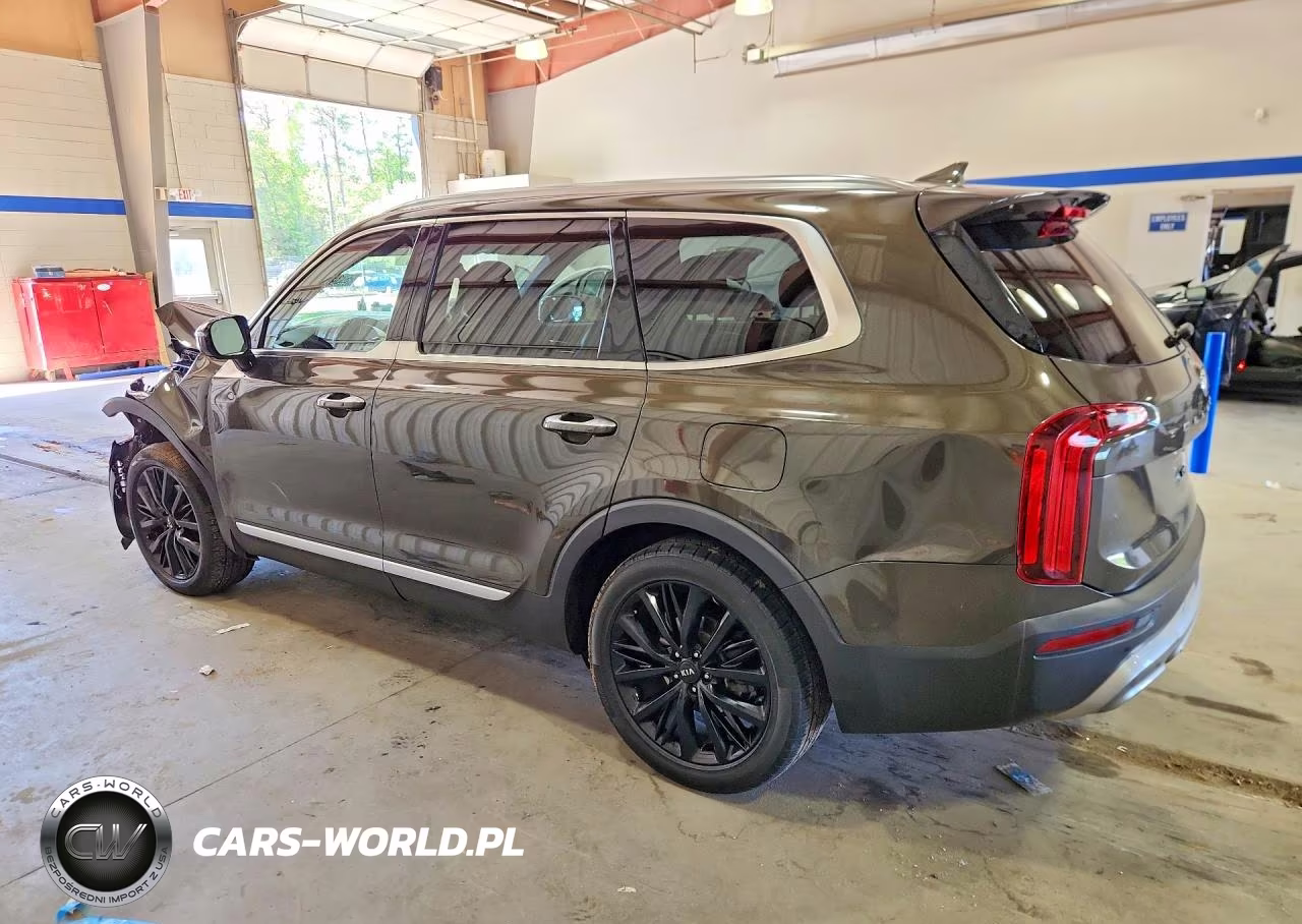 2020 Kia Telluride Sx VIN:5XYP54HC8LG025944 - 2