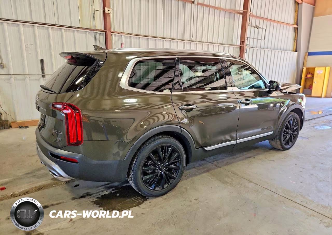 2020 Kia Telluride Sx VIN:5XYP54HC8LG025944 - 3