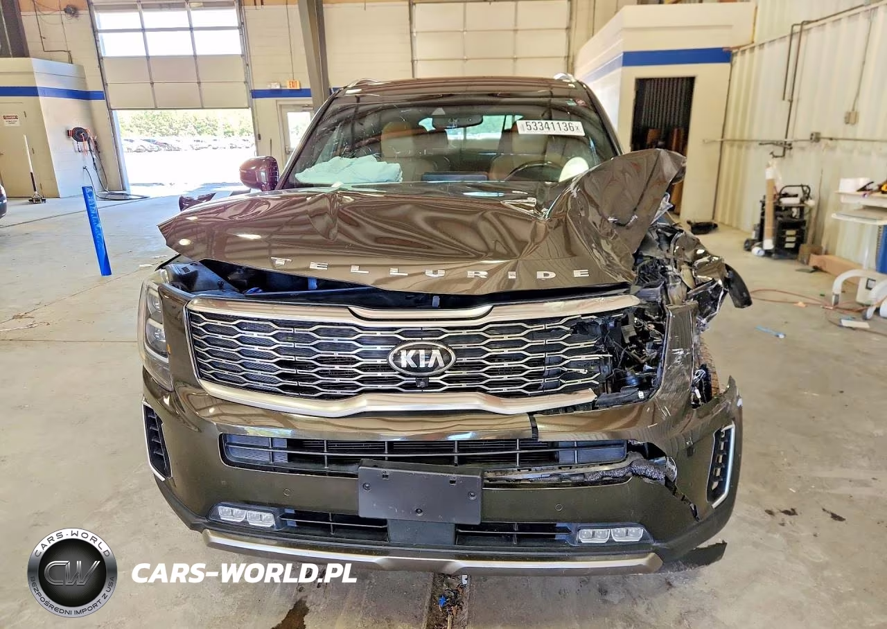 2020 Kia Telluride Sx VIN:5XYP54HC8LG025944 - 5