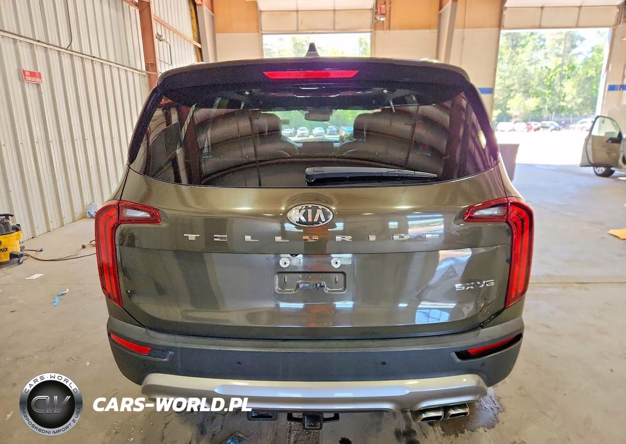2020 Kia Telluride Sx VIN:5XYP54HC8LG025944 - 6