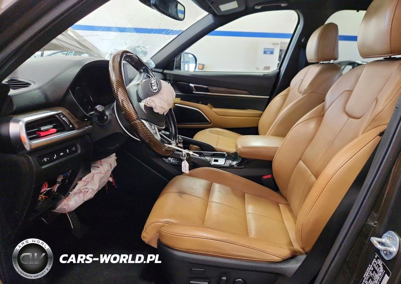 2020 Kia Telluride Sx VIN:5XYP54HC8LG025944 - 7