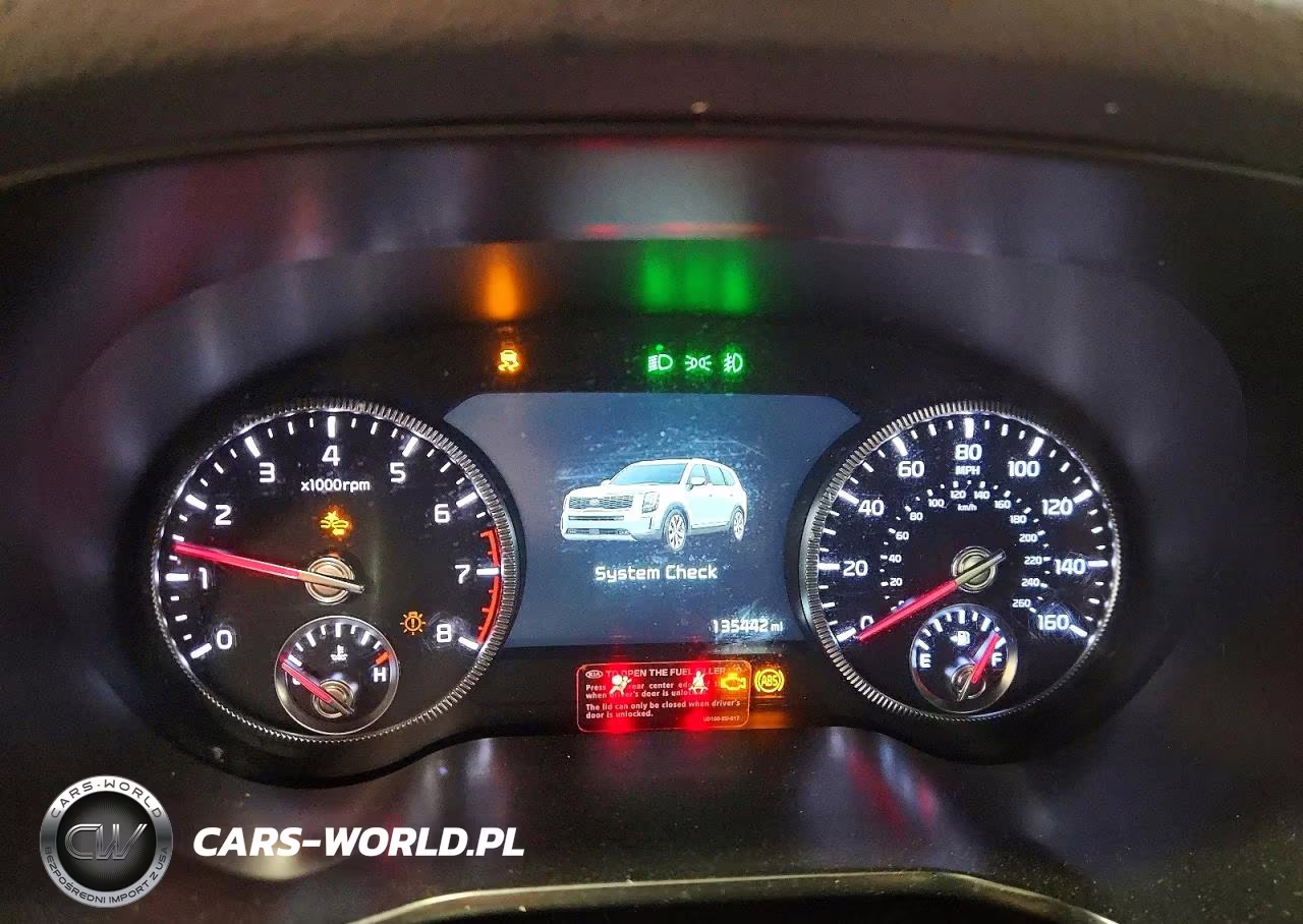 2020 Kia Telluride Sx VIN:5XYP54HC8LG025944 - 9