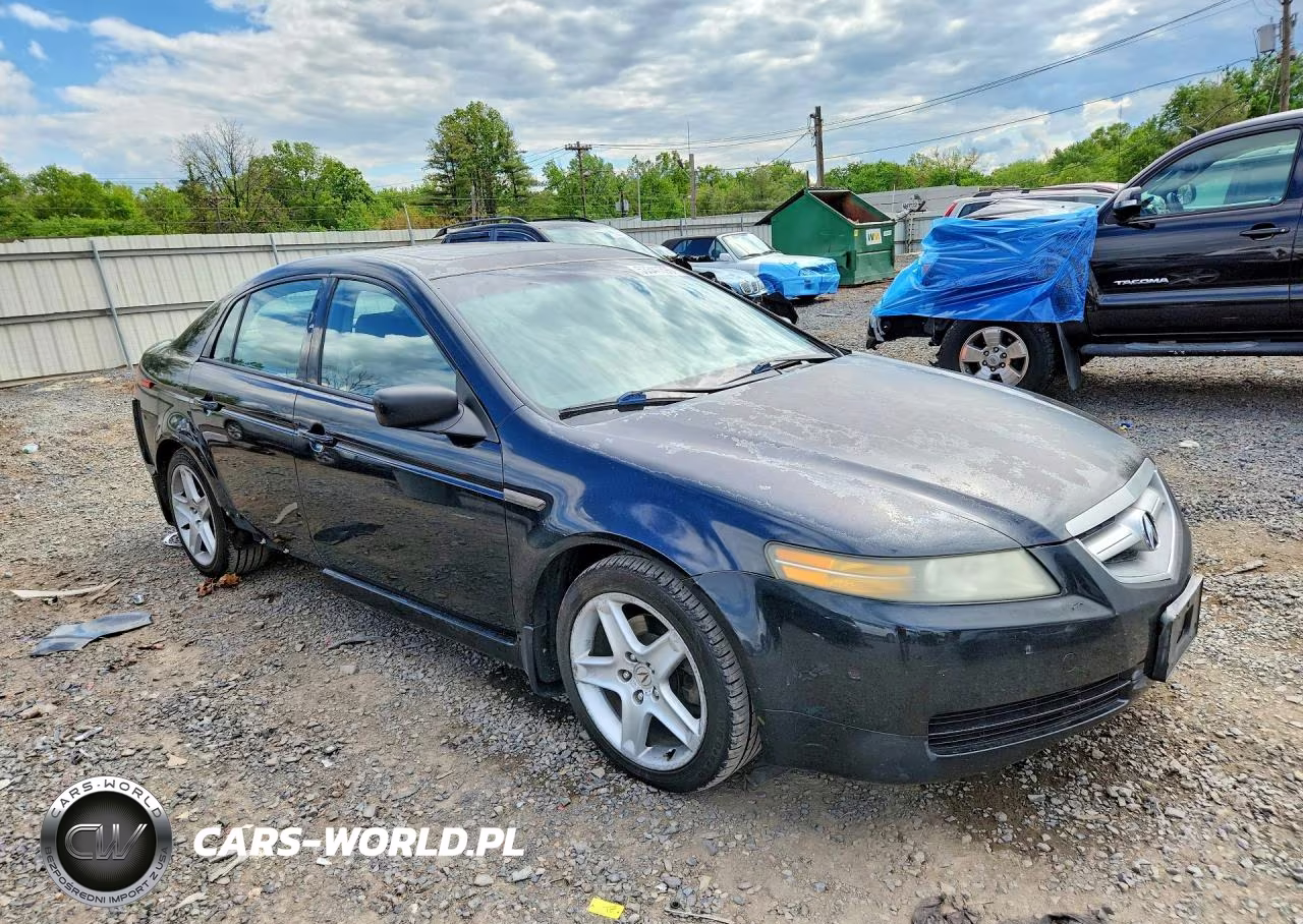 2004 Acura Tl VIN:19UUA66274A056514 - 4