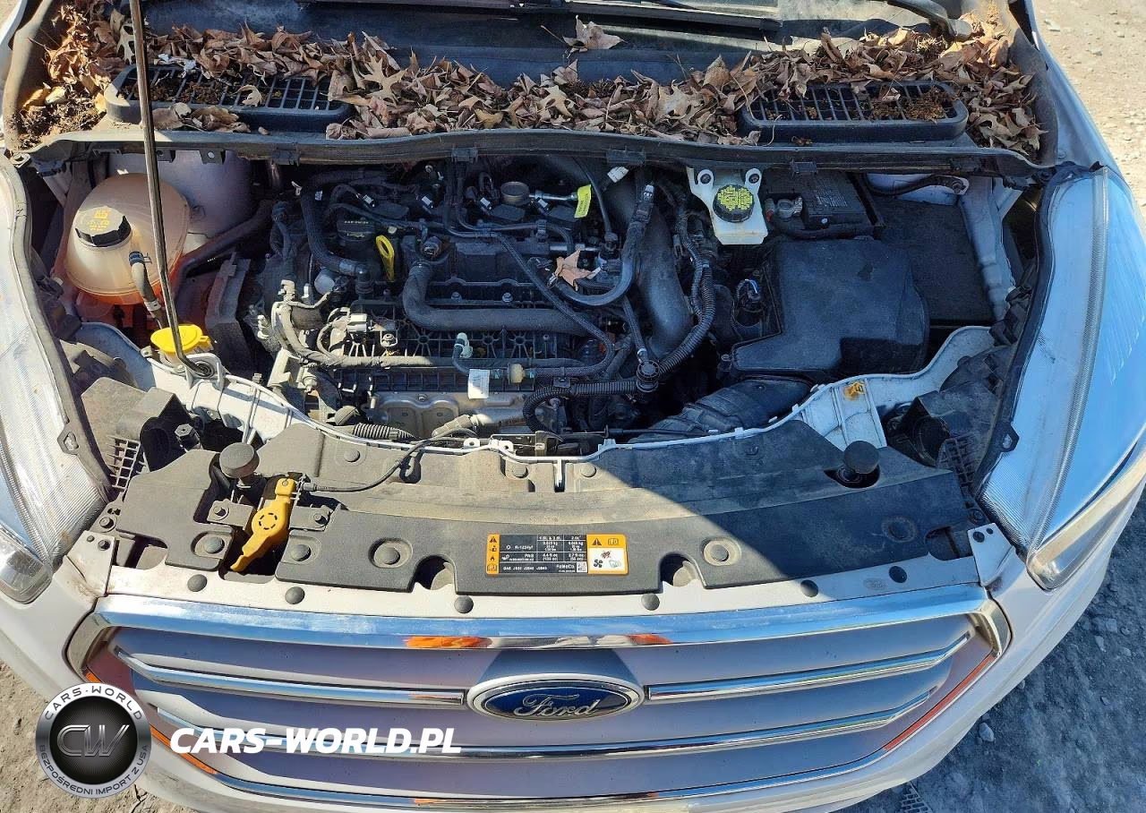 2019 Ford Escape Se VIN:1FMCU0GD1KUC35606 - 11