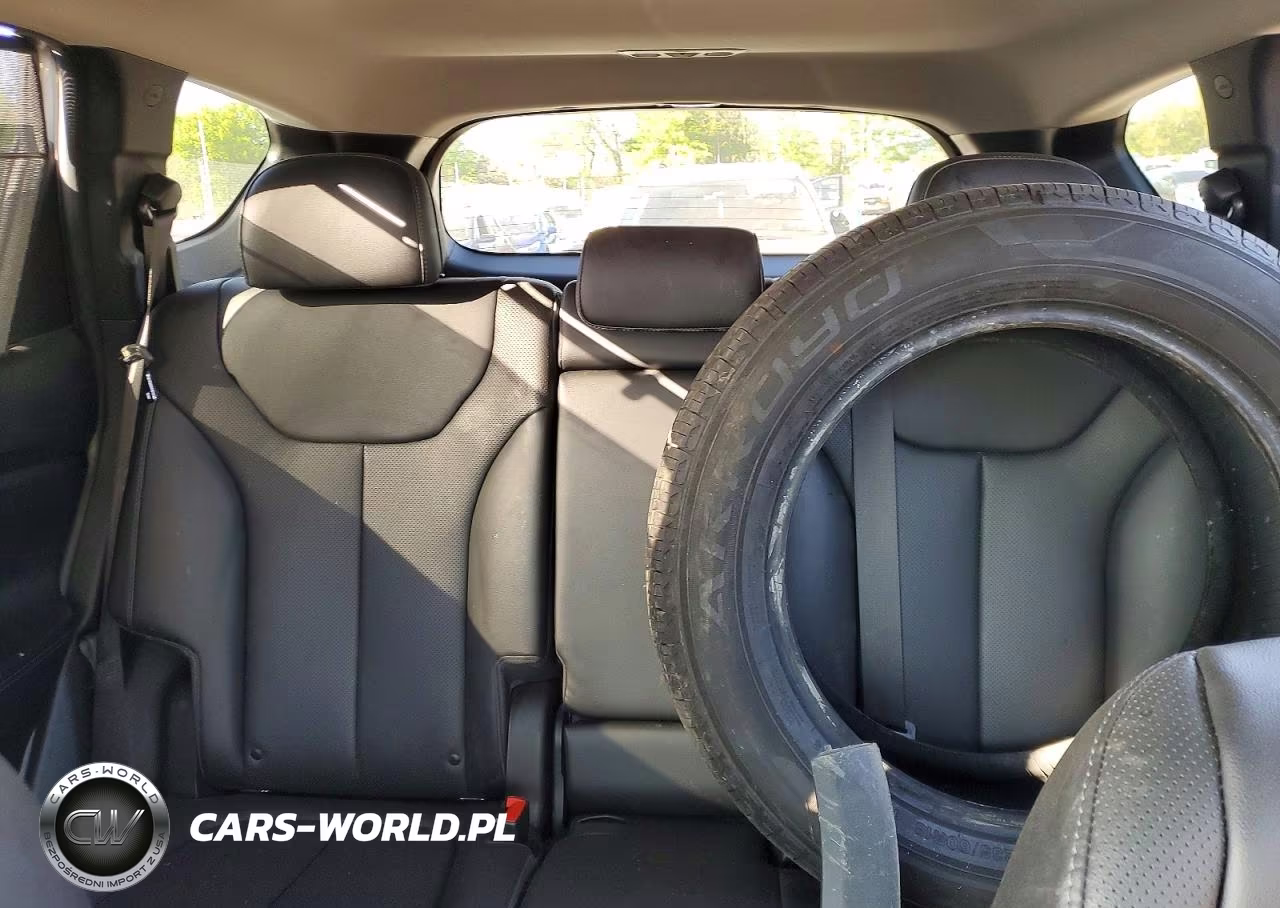 2023 Hyundai Santa Fe Sel Premium VIN:5NMS3DAJ5PH562839 - 10