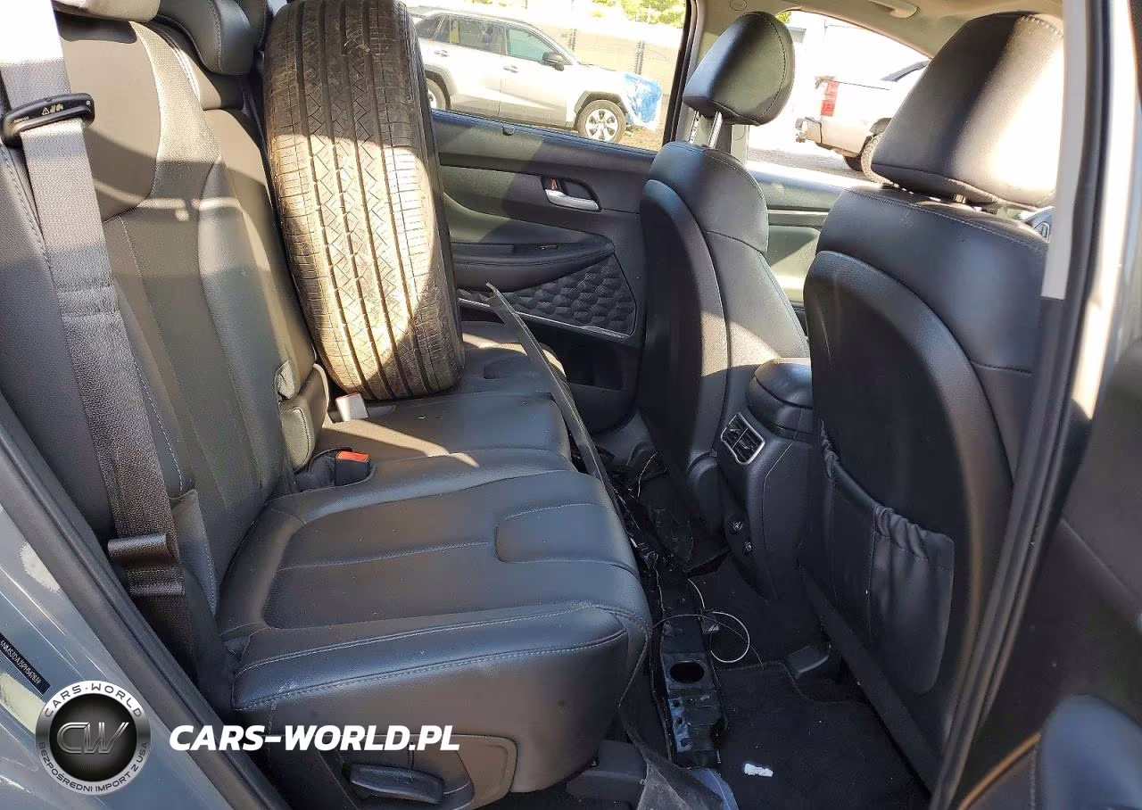 2023 Hyundai Santa Fe Sel Premium VIN:5NMS3DAJ5PH562839 - 11