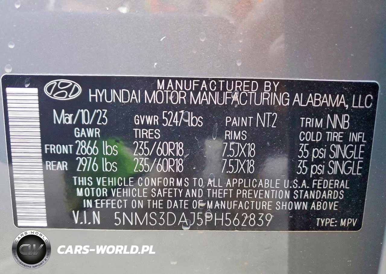 2023 Hyundai Santa Fe Sel Premium VIN:5NMS3DAJ5PH562839 - 13