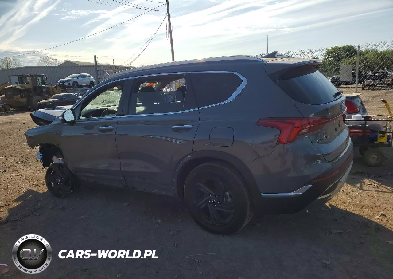 2023 Hyundai Santa Fe Sel Premium VIN:5NMS3DAJ5PH562839 - 2