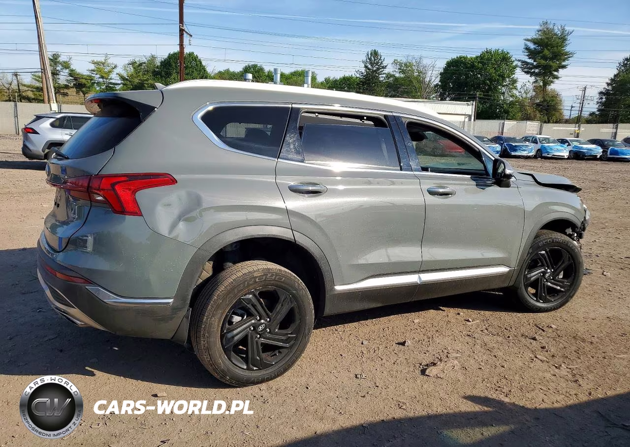 2023 Hyundai Santa Fe Sel Premium VIN:5NMS3DAJ5PH562839 - 3