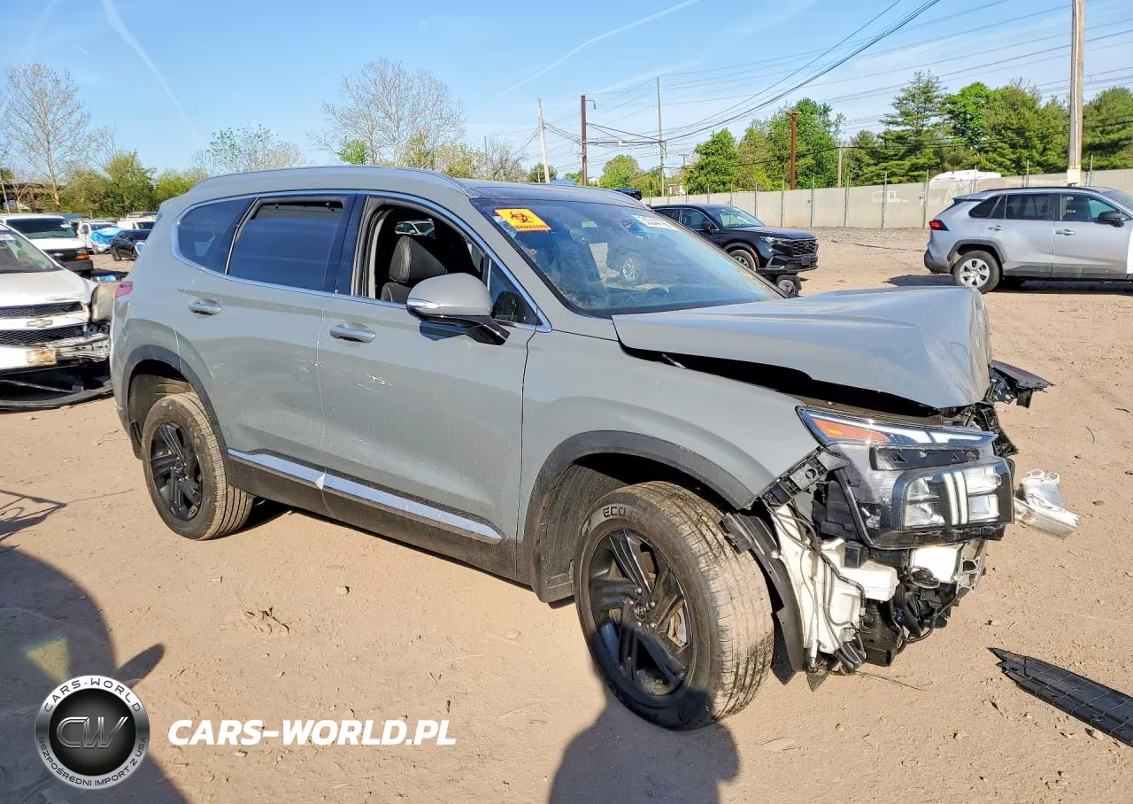 2023 Hyundai Santa Fe Sel Premium VIN:5NMS3DAJ5PH562839 - 4