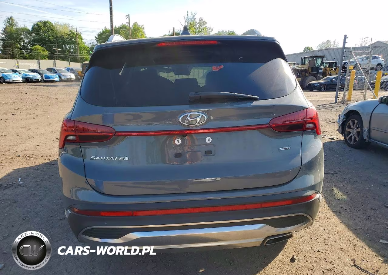 2023 Hyundai Santa Fe Sel Premium VIN:5NMS3DAJ5PH562839 - 6