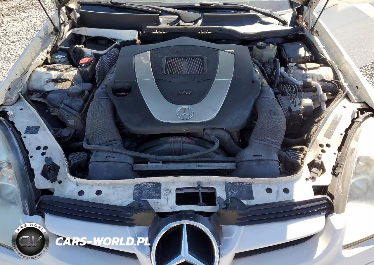 2005 Mercedes-Benz Slk 350 VIN:WDBWK56F55F037304 - 11