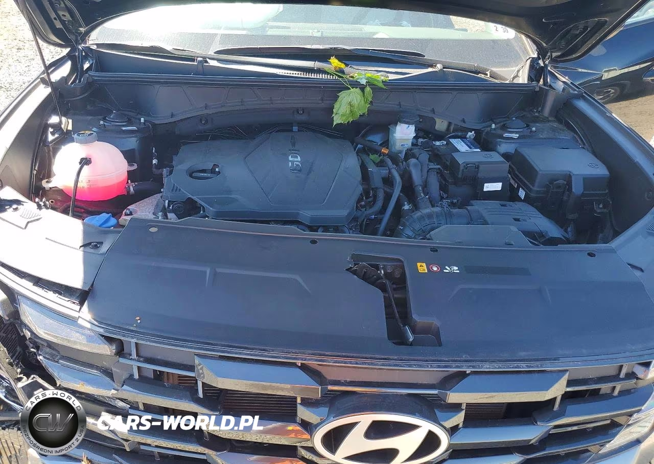 2025 Hyundai Tucson Sel VIN:3KMJBCDEXSE005204 - 12