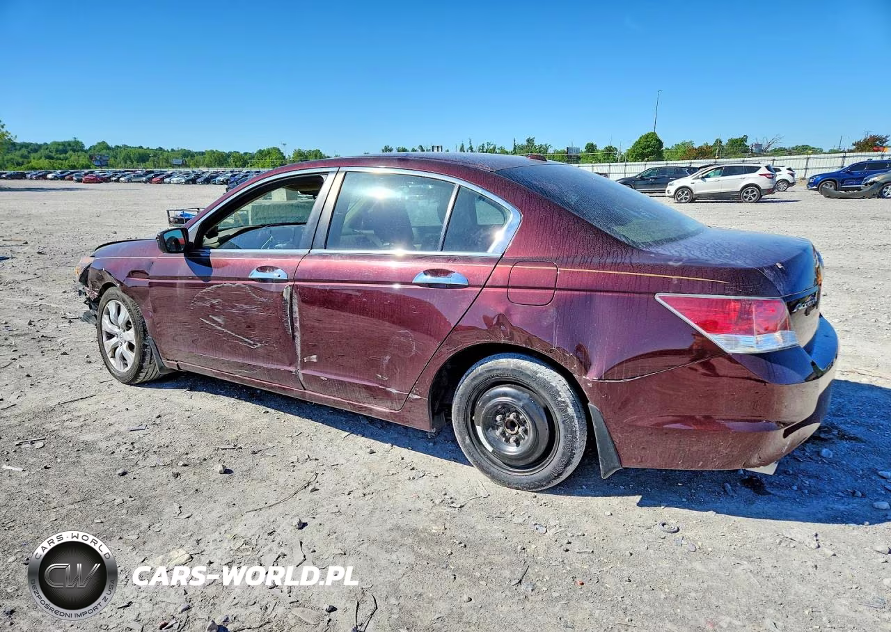 2010 Honda Accord Exl VIN:5KBCP3F88AB004213 - 2