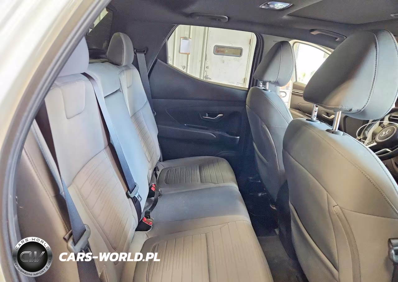 2022 Hyundai Santa Cruz Sel Premium VIN:5NTJDDAF7NH028053 - 10