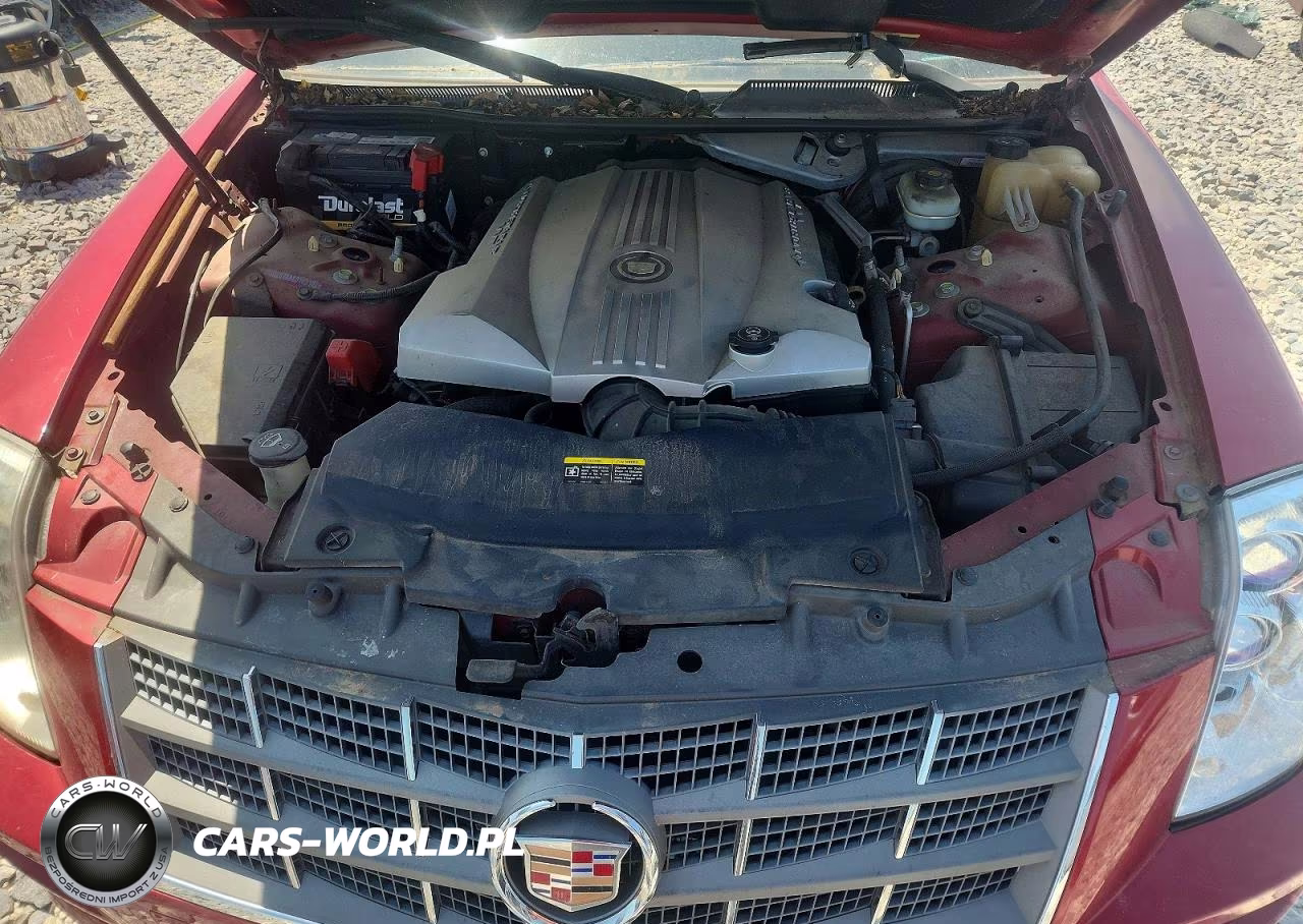 2008 Cadillac Sts VIN:1G6DZ67A880167102 - 11