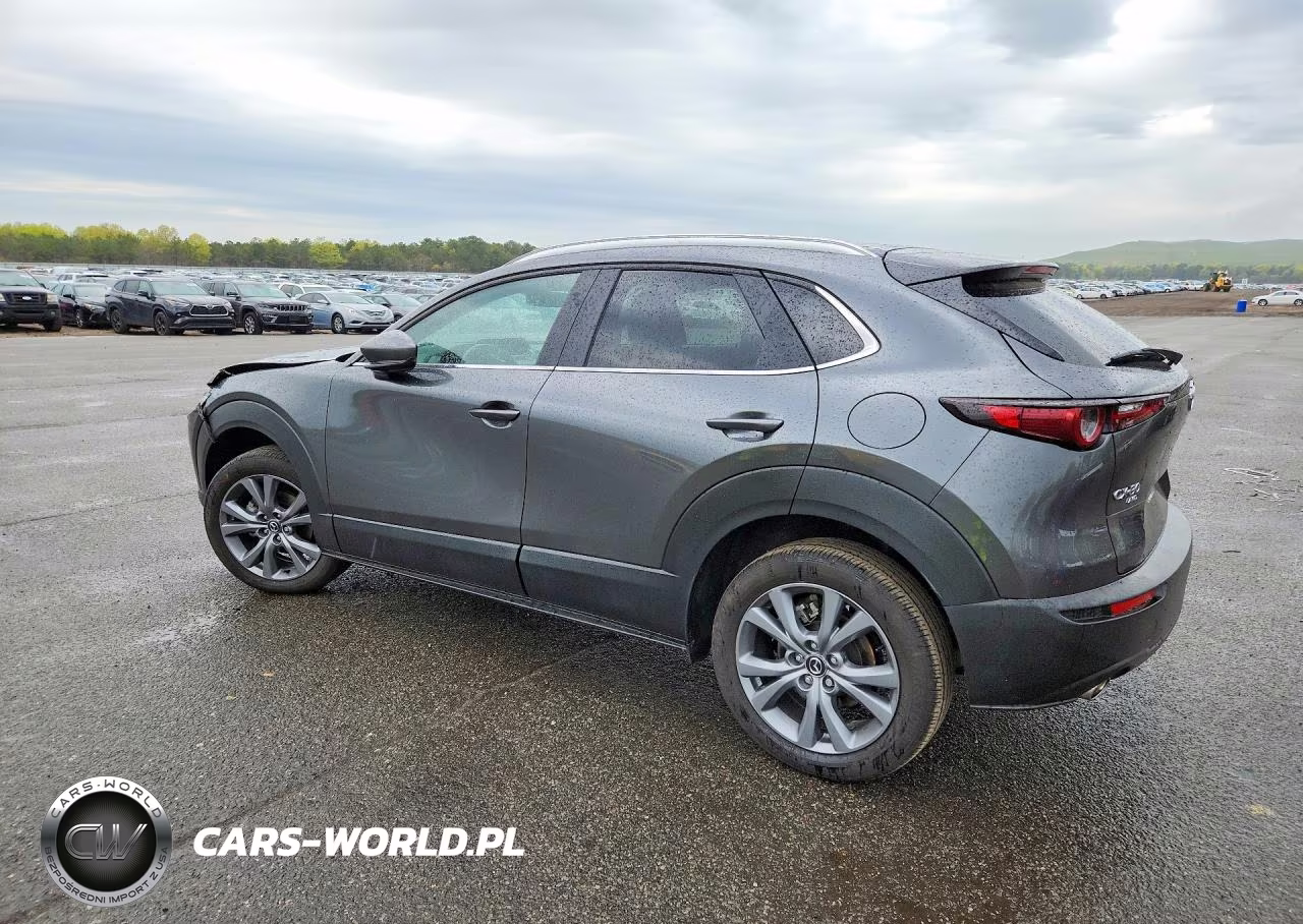 2025 Mazda Cx-30 Preferred VIN:3MVDMBCMXSM838034 - 2