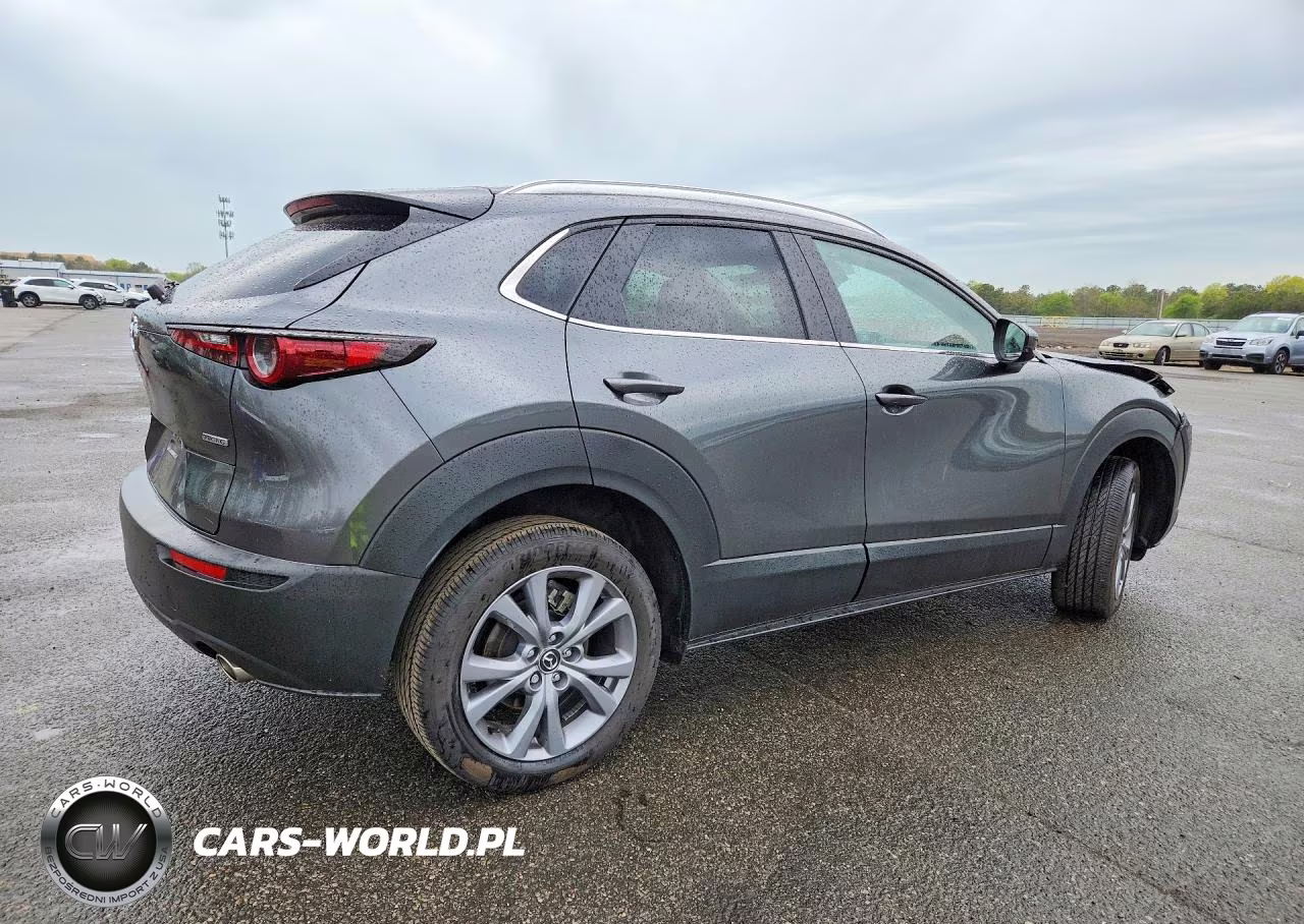 2025 Mazda Cx-30 Preferred VIN:3MVDMBCMXSM838034 - 3