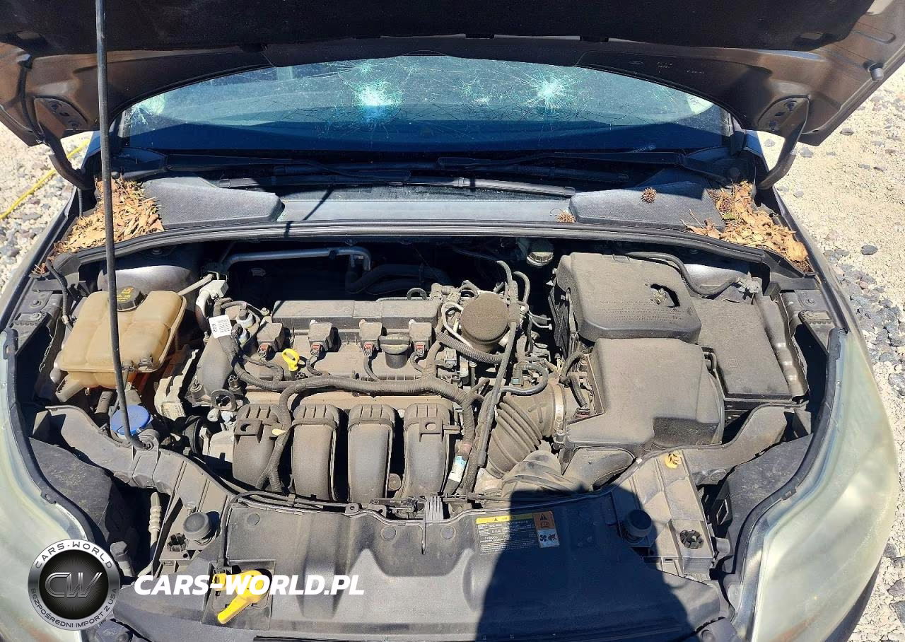 2014 Ford Focus Se VIN:1FADP3F27EL131784 - 11