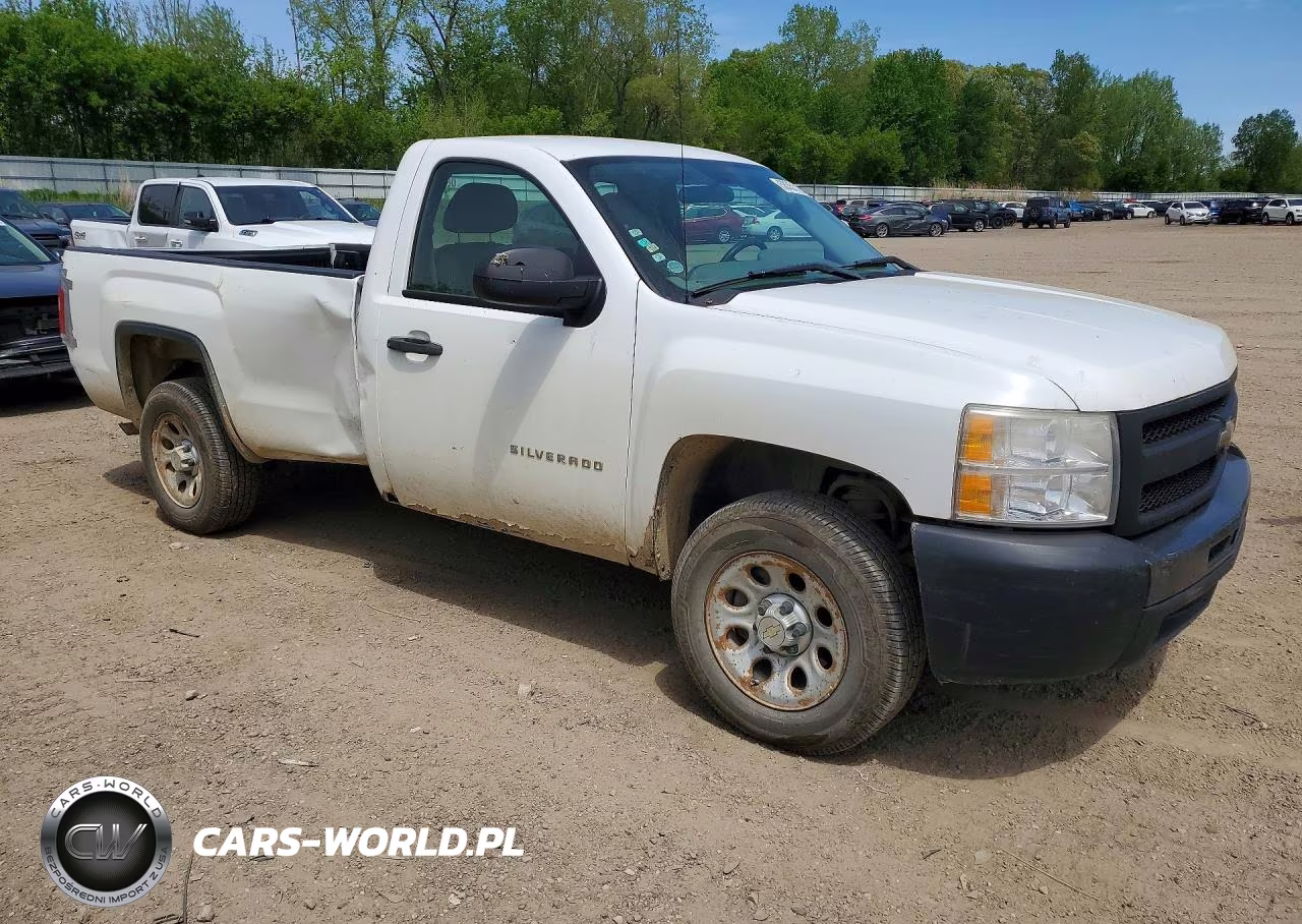 2010 Chevrolet Silverado C1500 VIN:1GCPCPEX8AZ195413 - 4