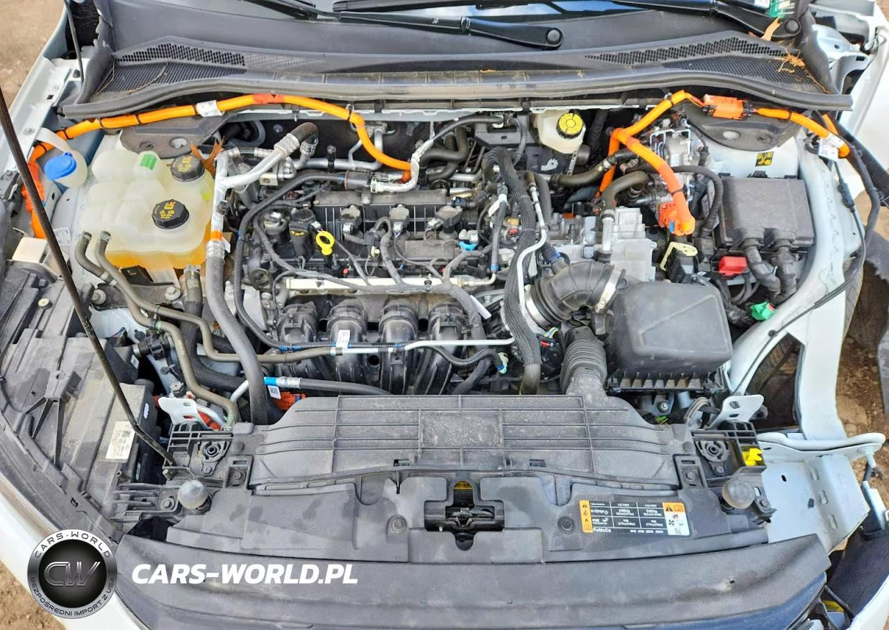 2024 Ford Escape VIN:1FMCU0E12RUB01660 - 12