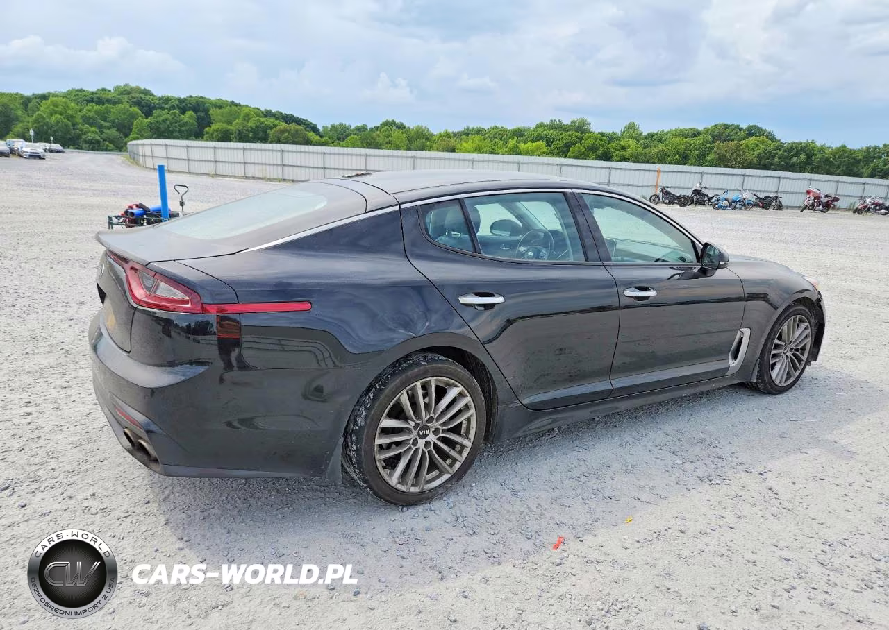 2018 Kia Stinger Base VIN:KNAE15LAXJ6041171 - 3