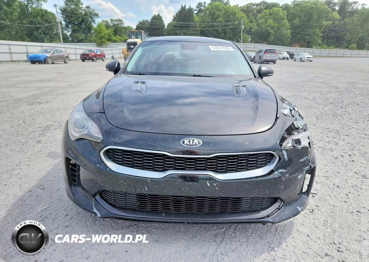 2018 Kia Stinger Base VIN:KNAE15LAXJ6041171 - 5