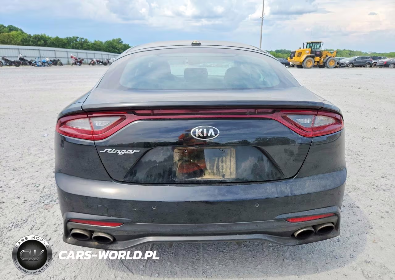 2018 Kia Stinger Base VIN:KNAE15LAXJ6041171 - 6