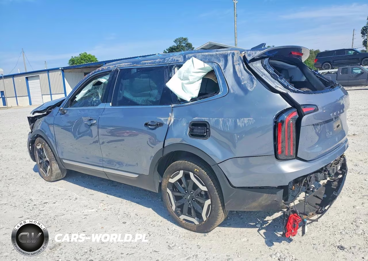 2024 Kia Telluride Ex VIN:5XYP3DGC1RG548027 - 2