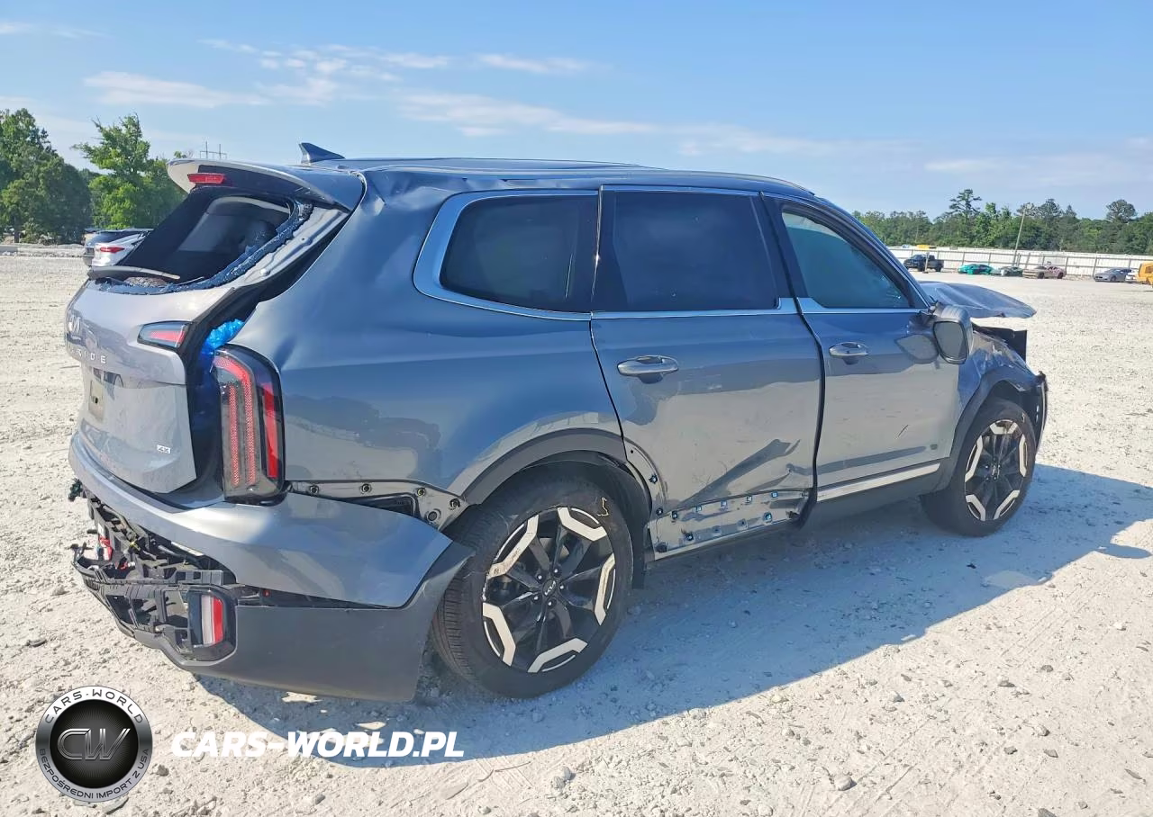2024 Kia Telluride Ex VIN:5XYP3DGC1RG548027 - 3