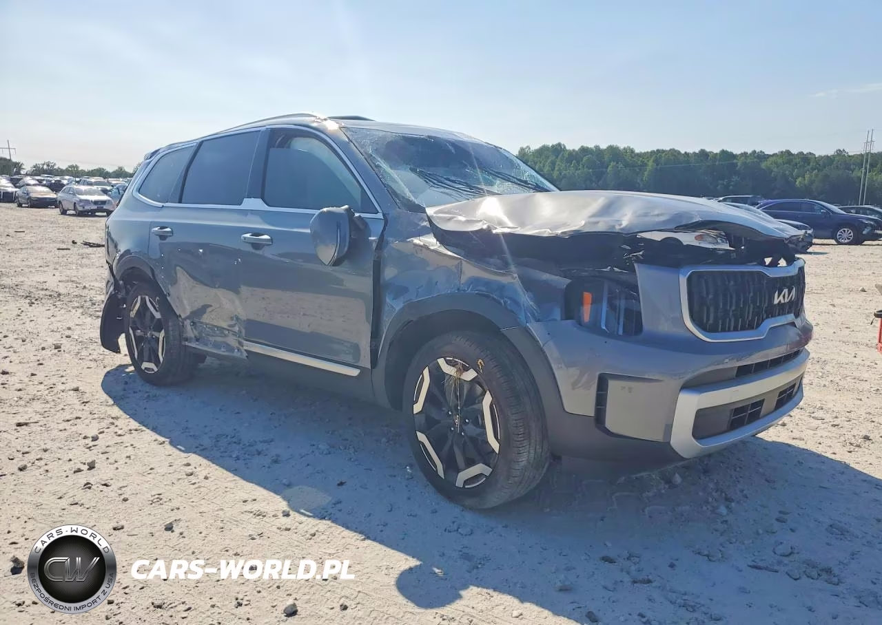 2024 Kia Telluride Ex VIN:5XYP3DGC1RG548027 - 4