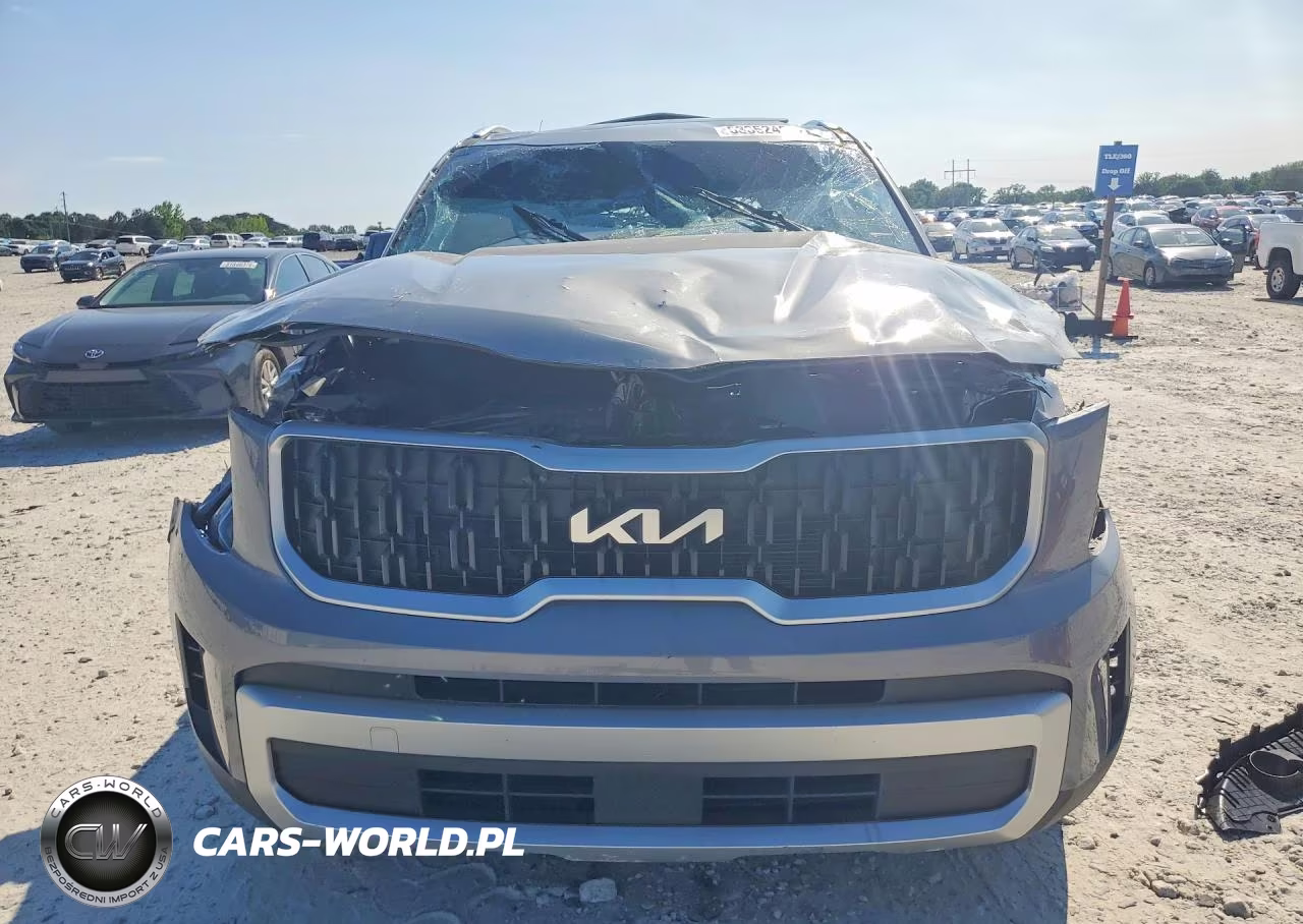 2024 Kia Telluride Ex VIN:5XYP3DGC1RG548027 - 5