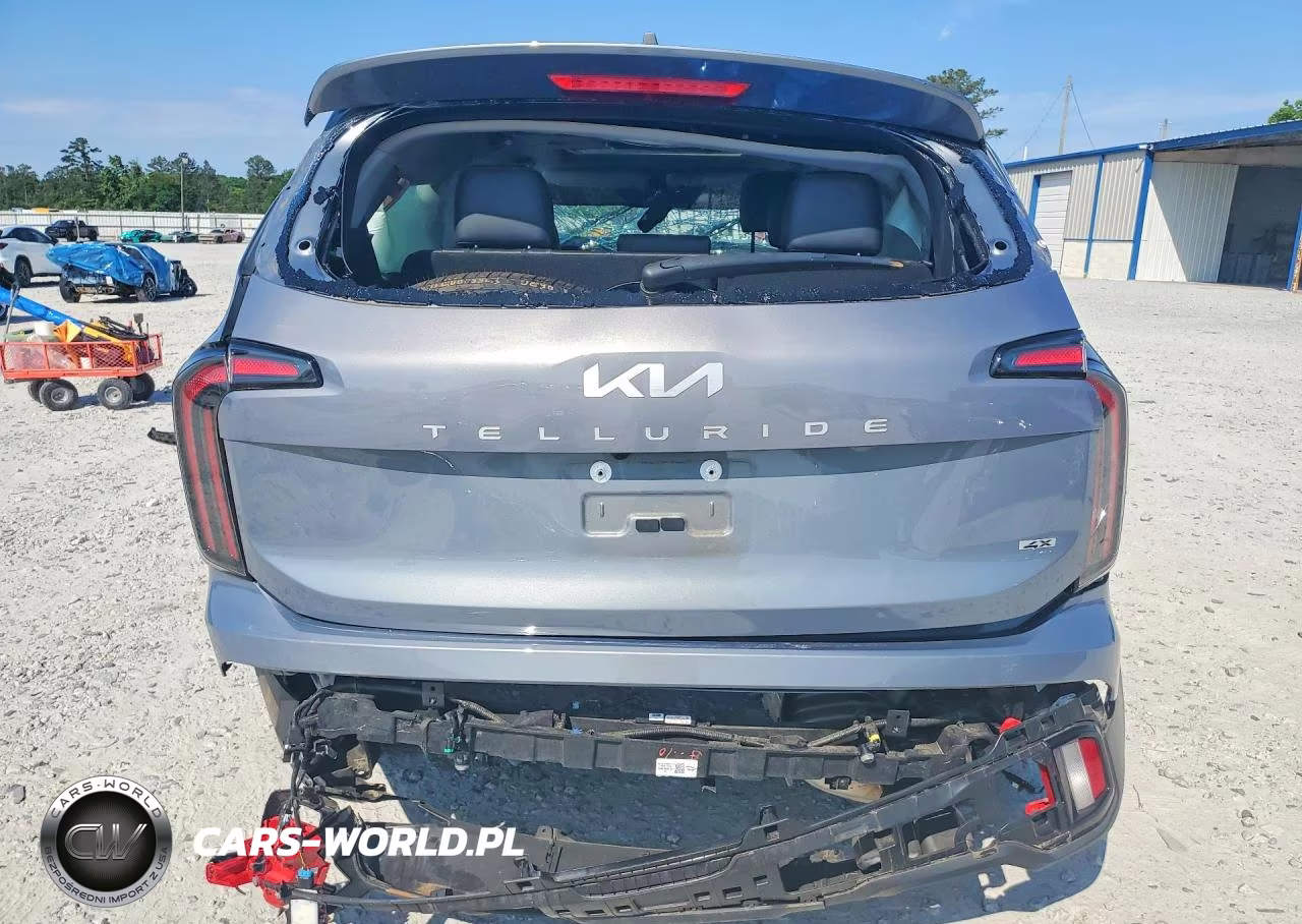 2024 Kia Telluride Ex VIN:5XYP3DGC1RG548027 - 6