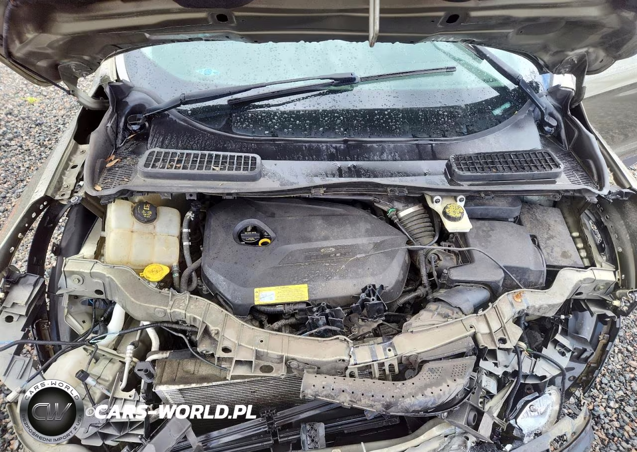 2014 Ford Escape Se VIN:1FMCU0GX8EUB23190 - 12
