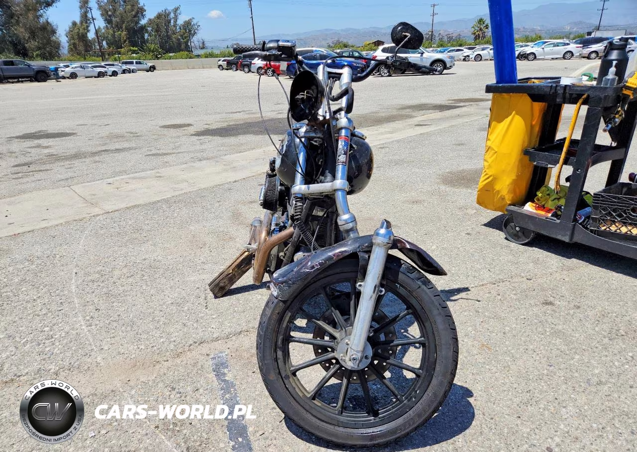 2001 Harley-Davidson Fxdl VIN:1HD1GDV1X1Y306827 - 2