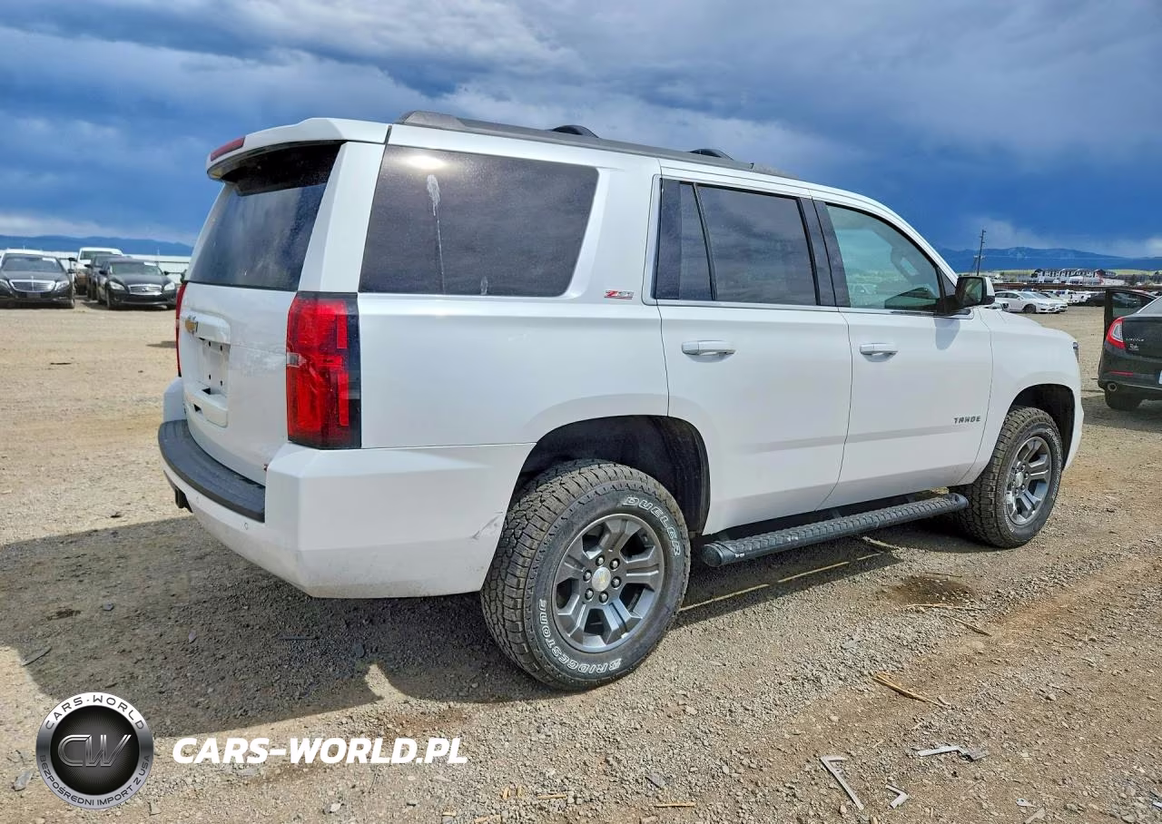 2019 Chevrolet Tahoe K1500 Lt VIN:1GNSKBKC8KR180422 - 3