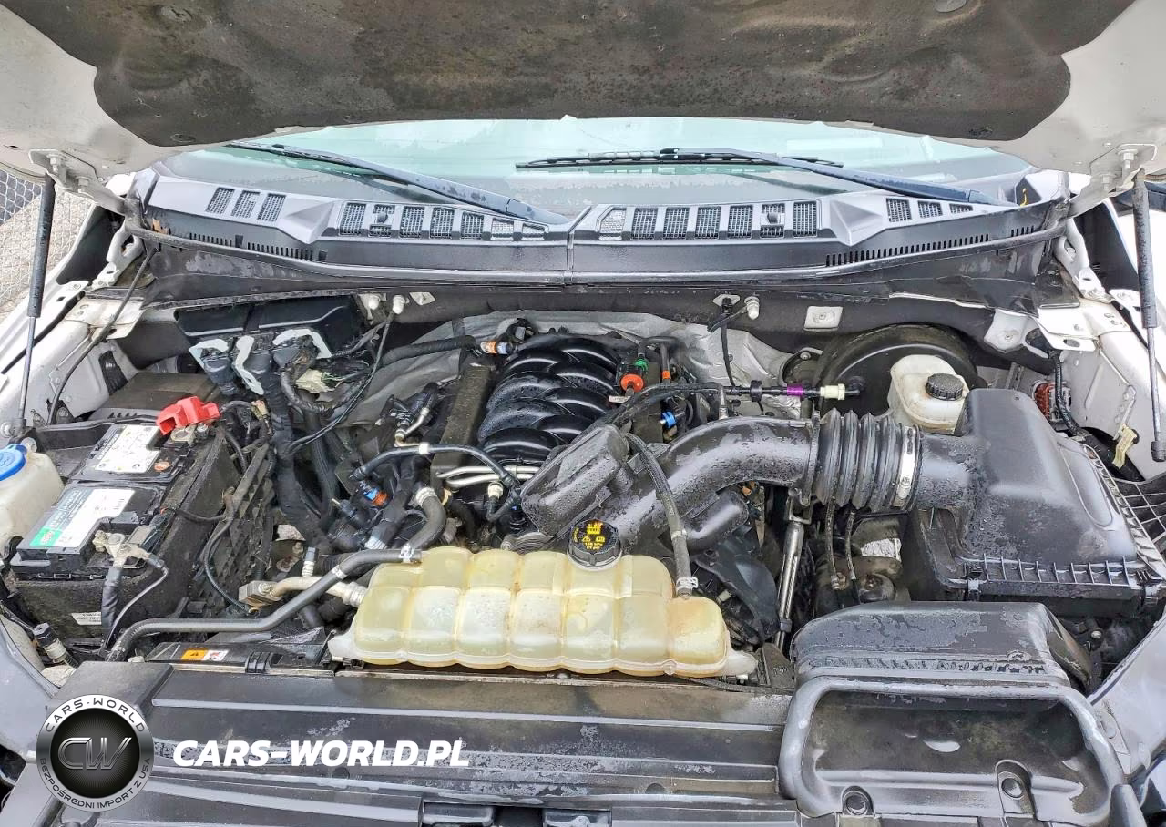 2020 Ford F150 Supercrew VIN:1FTEW1C55LFA96629 - 11