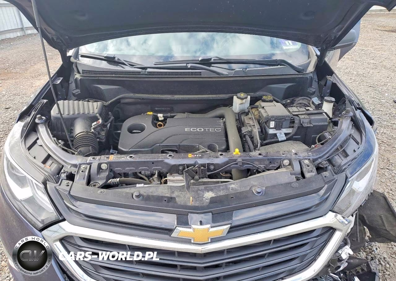 2019 Chevrolet Equinox Ls VIN:3GNAXHEVXKL261135 - 12