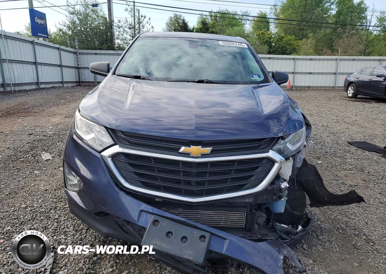 2019 Chevrolet Equinox Ls VIN:3GNAXHEVXKL261135 - 5