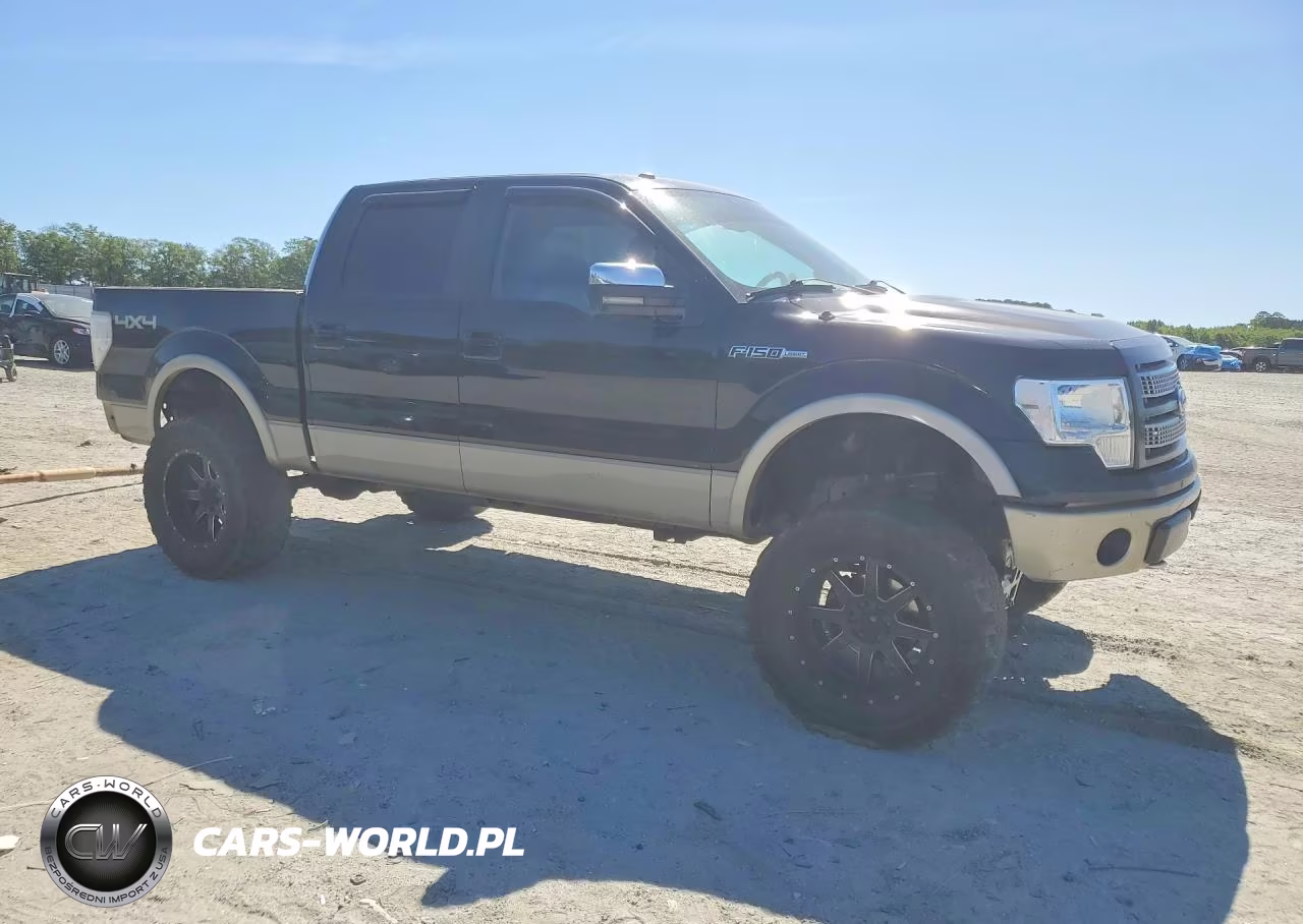 2009 Ford F150 Supercrew VIN:1FTPW14V79FA53622 - 4