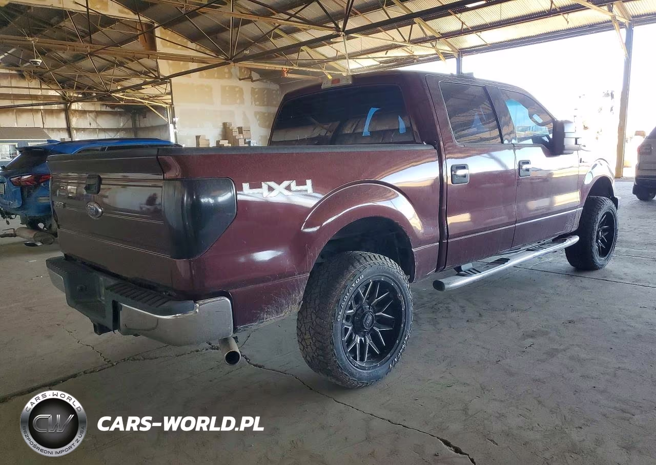 2009 Ford F150 Supercrew VIN:1FTPW14VX9FA87098 - 3